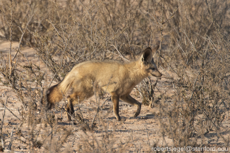 namibia 2018